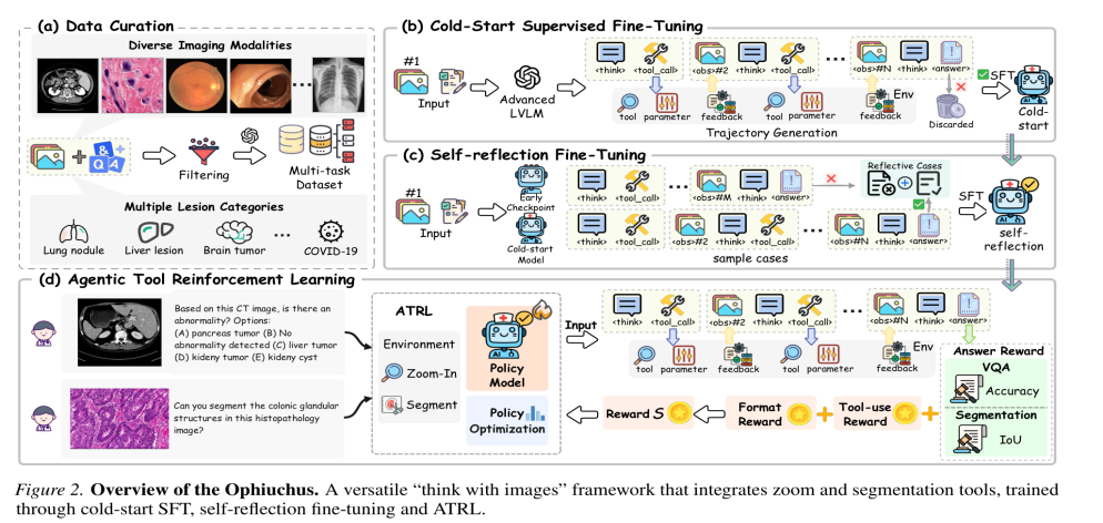 上海创智学院联合多所高校发表两篇ICML 2026论文，提出医学AI“Think with Images/Videos”范式  第5张