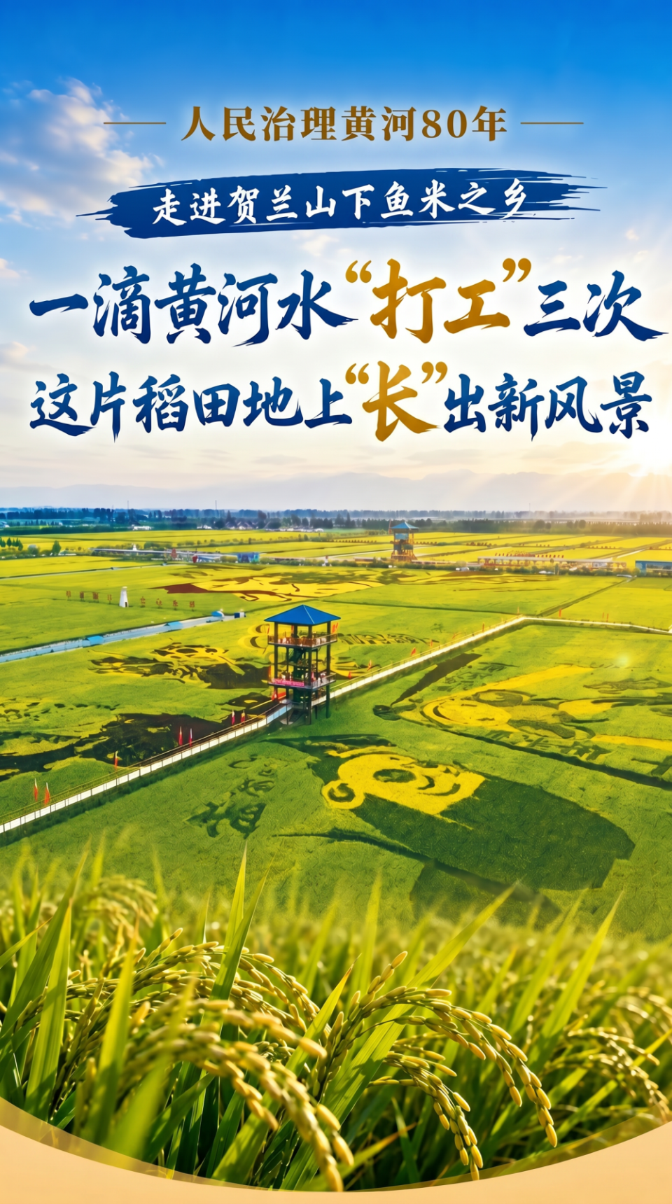 宁夏稻渔空间：同一滴黄河水的三次旅程