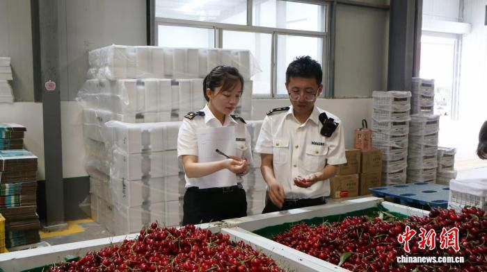 甘肃农产品前5月出口14.9亿元 “甘味”品类开拓三大洲市场
