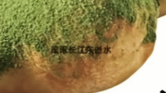 必胜客海报现“滚滚长江东逝水”引网友热议  第2张