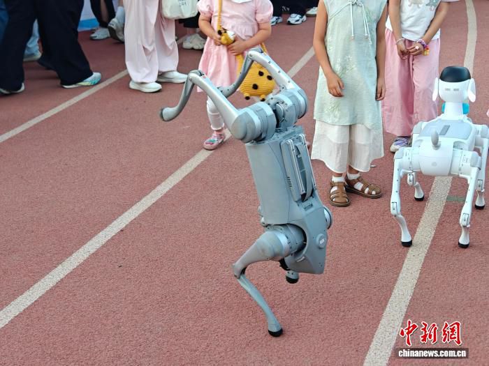 包头为3.1万应届毕业生集中推出就业岗位  第2张