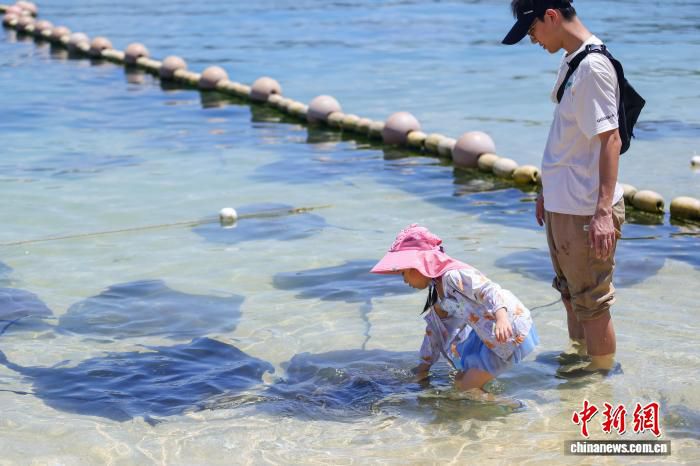 12国媒体人走访海南分界洲岛 体验北纬18度热带海岛风情  第3张