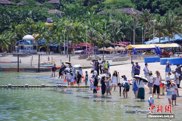 海南陵水：国际海缆与海底数据中心支撑“数字出海” 海归小镇集聚影视短剧等三大赛道  第2张