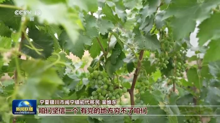 协作机制深化：东西部产业互补与共同富裕推进  第3张