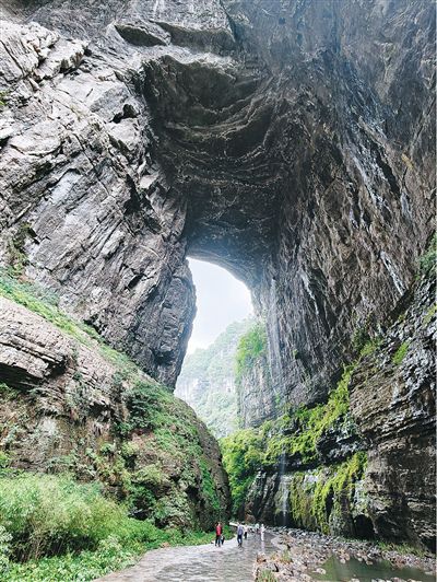 川渝三处世界遗产保护现场：武隆喀斯特天坑群、峨眉古楠木、黄龙彩池