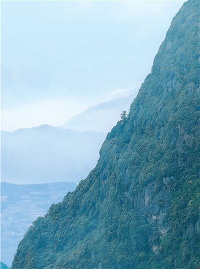 川渝三处世界遗产保护现场：武隆喀斯特天坑群、峨眉古楠木、黄龙彩池  第2张