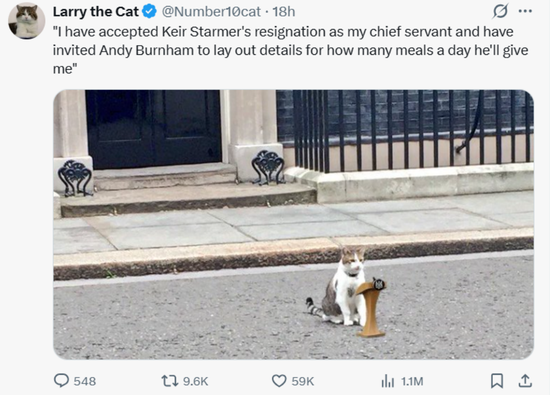 英国首相府猫拉里6月22日社交媒体发文：接受斯塔默辞去“首席仆人” 邀请伯纳姆说明供餐方案