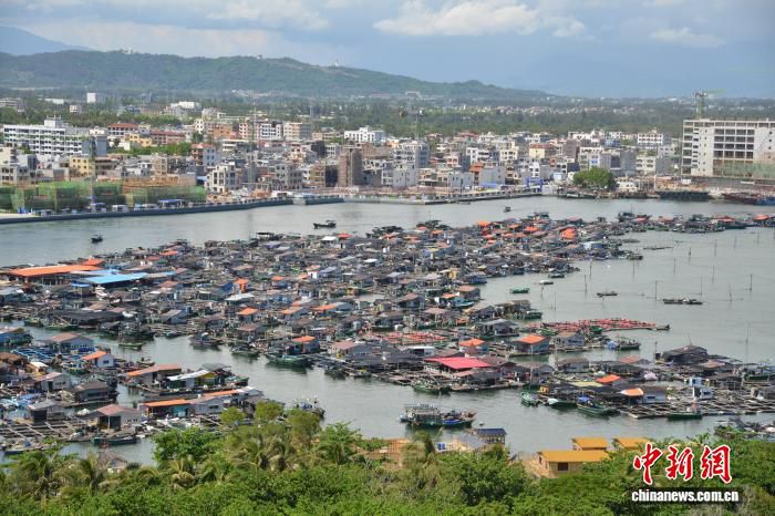 海南陵水新村港：400余户疍家渔排勾勒“海上村庄”新图景