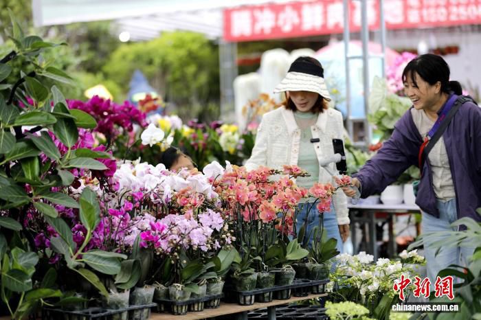保山花街近两百年传承：云南各民族“花式”过端午