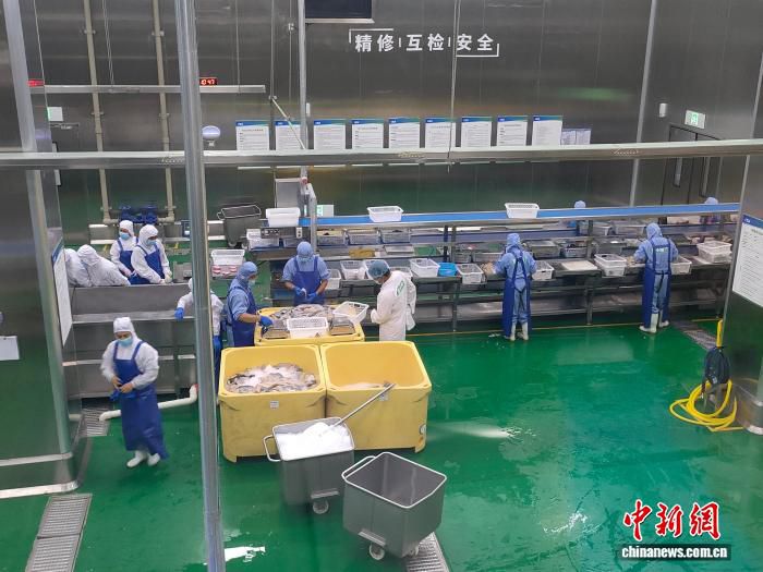 广西乡野引入数字技术 智慧农业项目落地东南亚多国