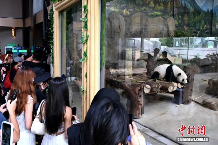 60余名两岸青年在福州开启为期五天科普夏令营 第2张 60余名两岸青年在福州开启为期五天科普夏令营 第2张