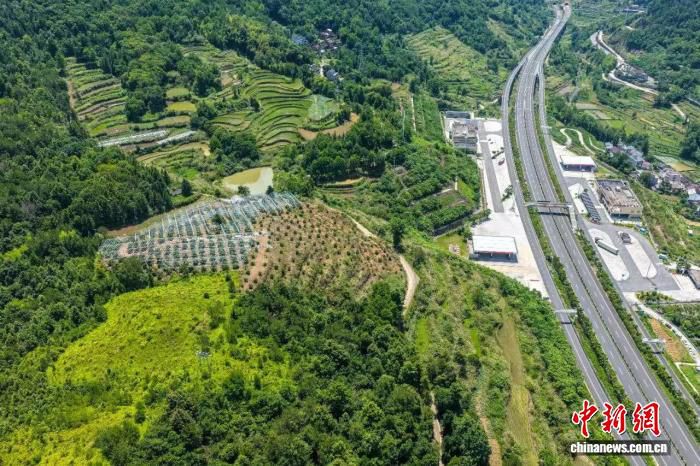 文成县3000斤高山杨梅发往意大利米兰 74箱产品抵达德国法兰克福 第2张 文成县3000斤高山杨梅发往意大利米兰 74箱产品抵达德国法兰克福 第2张