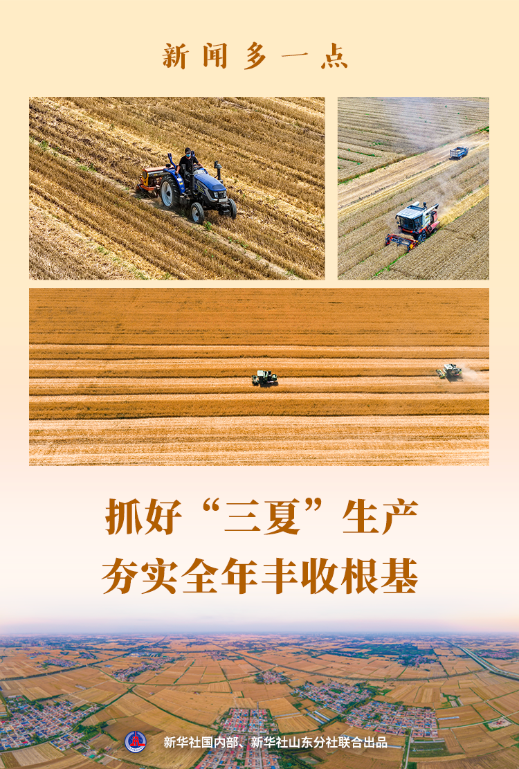 夏粮丰收成定局：习近平总书记考察山东“三夏”生产，全国麦收进度达97