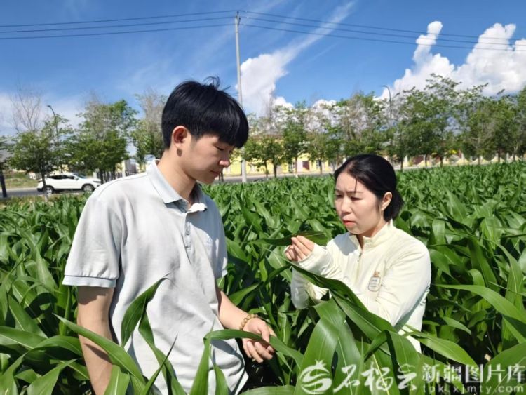 西部计划志愿者王芳：从甘肃到新疆，扎根基层十二载