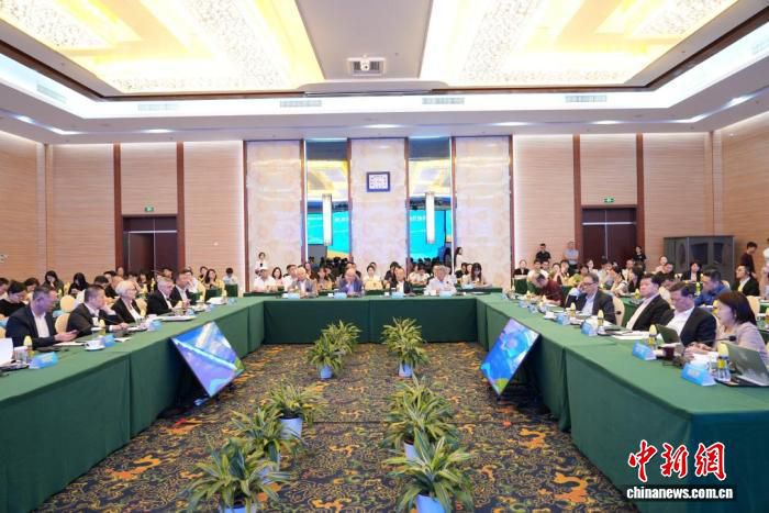世界政治经济格局变化下的海南自由贸易港座谈交流会海口举办