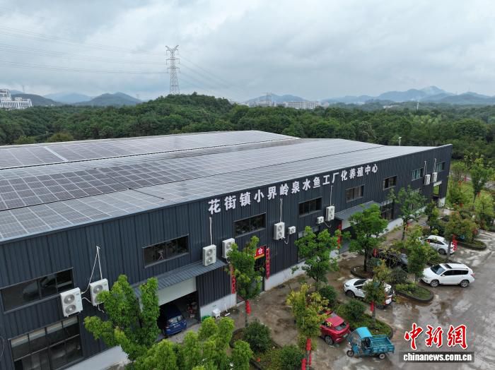 永康小界岭村泉水鱼走红 月销量持续增长