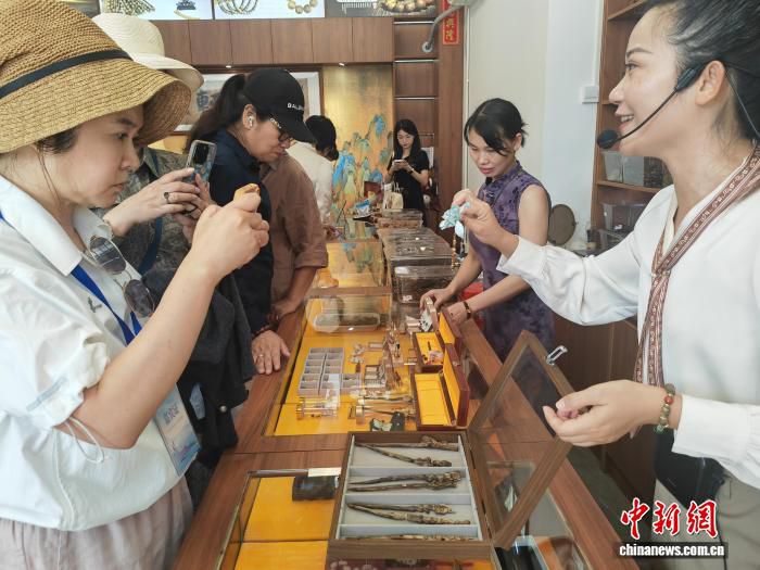 2026海外华媒看广东高质量发展采风活动走进茂名 第2张 2026海外华媒看广东高质量发展采风活动走进茂名 第2张