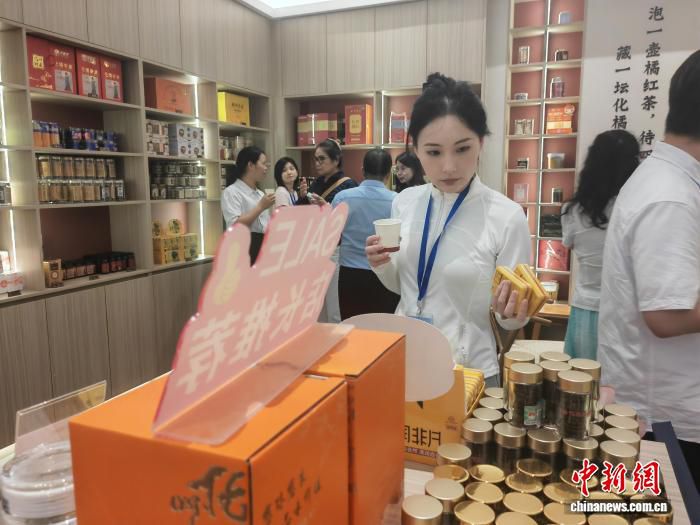 2026海外华媒看广东高质量发展采风活动走进茂名 第3张 2026海外华媒看广东高质量发展采风活动走进茂名 第3张