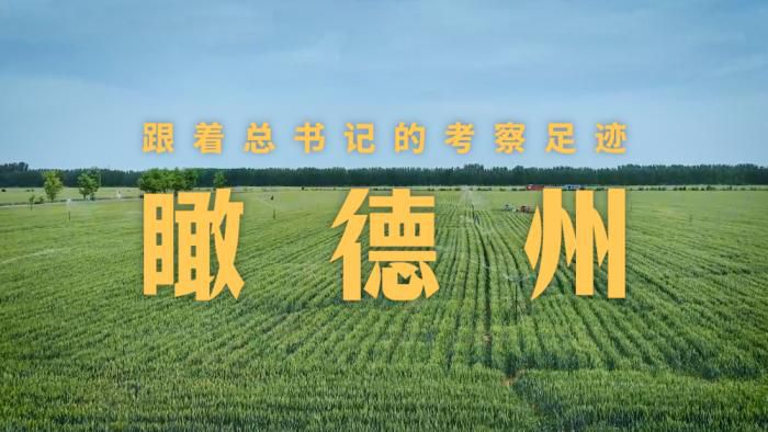 习近平总书记来到山东省德州市考察调研 第7张 习近平总书记来到山东省德州市考察调研 第7张