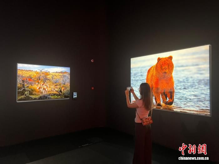 罗红摄影艺术馆新建项目启动，计划2028年竣工打造北京最大个人摄影艺术馆
