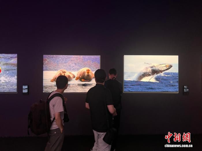 罗红摄影艺术馆新建项目启动,计划2028年竣工打造北京最大个人摄影艺术馆 第2张 罗红摄影艺术馆新建项目启动,计划2028年竣工打造北京最大个人摄影艺术馆 第2张