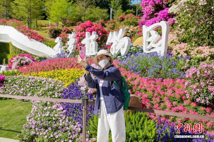 广东推进岭南特色植物园体系建设 14家植物园建成数量居全国首位 第3张 广东推进岭南特色植物园体系建设 14家植物园建成数量居全国首位 第3张