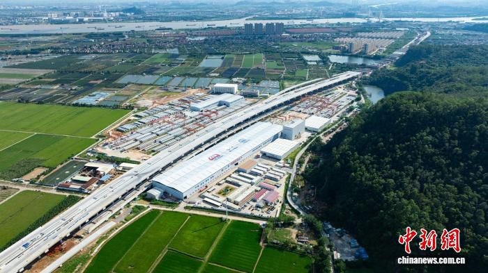 狮子洋通道项目T13标箱梁预制突破4000片 预制任务进度过半