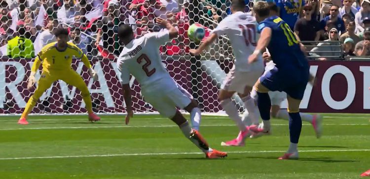 世界杯小组赛：波黑上半场2-1领先卡塔尔，阿拉伊贝戈维奇世界波破门  第11张