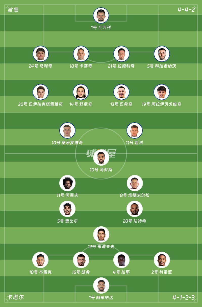 波黑3-1击败卡塔尔，阿拉伊贝戈维奇首开纪录  第2张