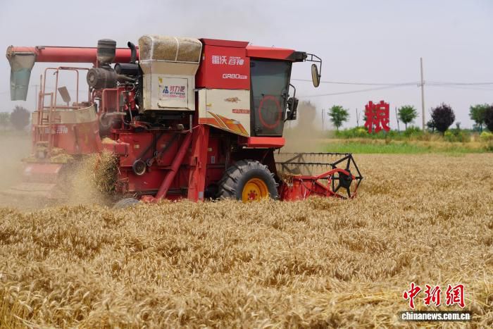 陕西夏收夏播基本结束 收获小麦1389.1万亩 第2张 陕西夏收夏播基本结束 收获小麦1389.1万亩 第2张