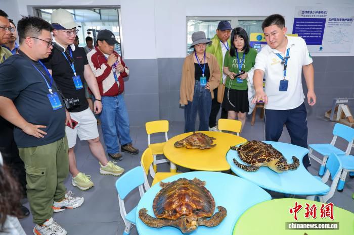 海南海洋欢乐世界度假区：集游乐与动物保育于一体的国家4A级海洋主题公园  第2张