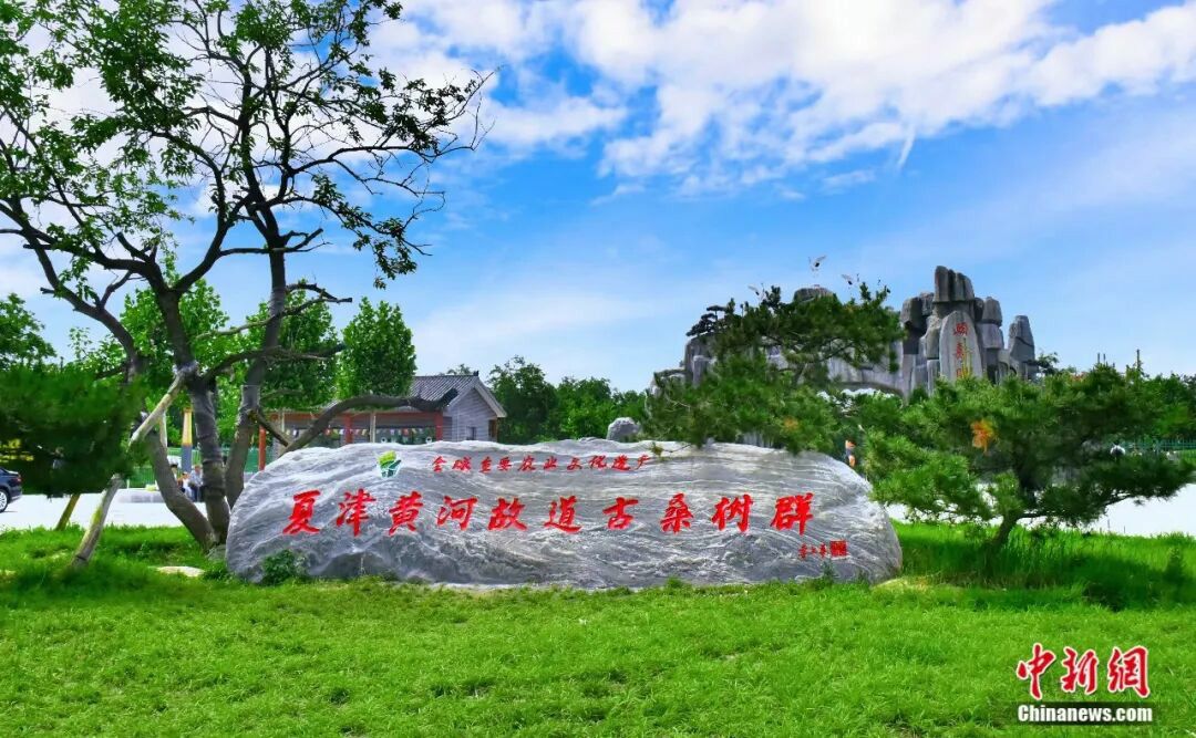 德州:鲁西北平原上的“九达天衢”之城 第9张 德州:鲁西北平原上的“九达天衢”之城 第9张