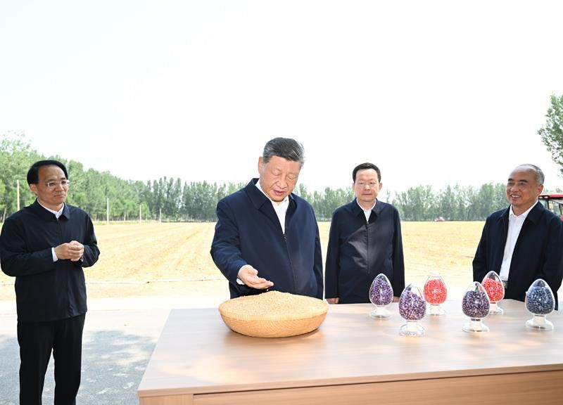 习近平山东考察“三夏”工作:走进田间地头关注粮食生产 第3张 习近平山东考察“三夏”工作:走进田间地头关注粮食生产 第3张