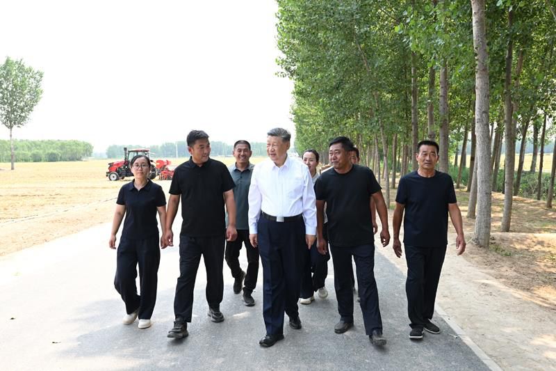 习近平山东考察“三夏”工作:走进田间地头关注粮食生产 第2张 习近平山东考察“三夏”工作:走进田间地头关注粮食生产 第2张