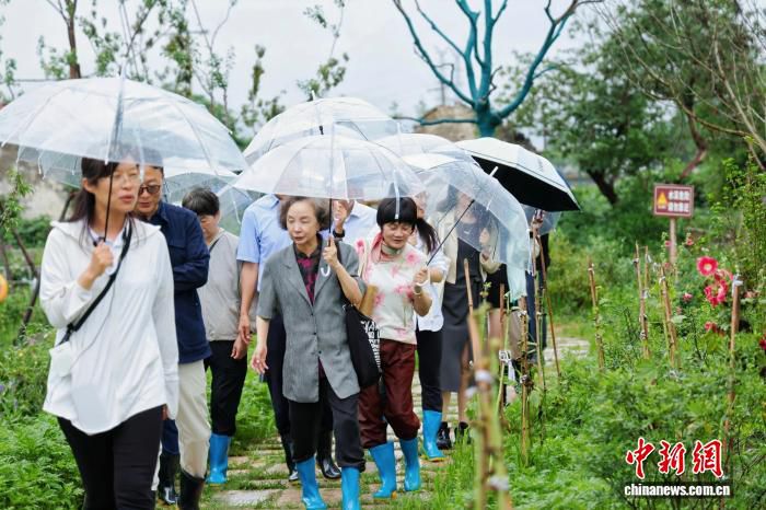 上海市文史研究馆等赴松江天马试点单元开展乡村采风活动