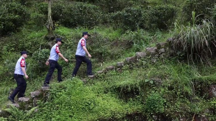 武夷山国家公园实施跨省联合监管与数字化监测优化治理体系 第3张 武夷山国家公园实施跨省联合监管与数字化监测优化治理体系 第3张