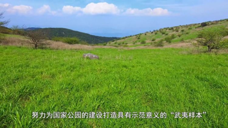 武夷山国家公园实施跨省联合监管与数字化监测优化治理体系 第7张 武夷山国家公园实施跨省联合监管与数字化监测优化治理体系 第7张