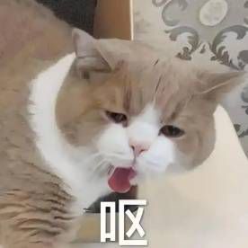 一部苹果17手机被系于碾碎机上方,塑料绳面临断裂风险 第13张 一部苹果17手机被系于碾碎机上方,塑料绳面临断裂风险 第13张