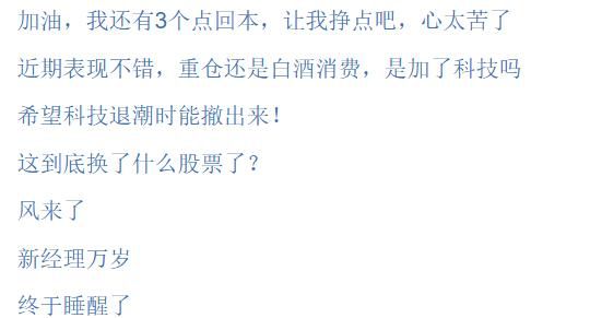 刘彦春旗下景顺长城鼎益混合6月25日净值快速拉升 市场关注调仓动向 第2张 刘彦春旗下景顺长城鼎益混合6月25日净值快速拉升 市场关注调仓动向 第2张