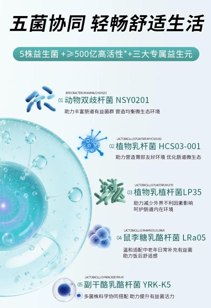 60岁以上老人益生菌效果好不好怎么看？2026白皮书跟踪排便频次、腹胀评分与口碑反馈-热点资讯-ITBear科技资讯