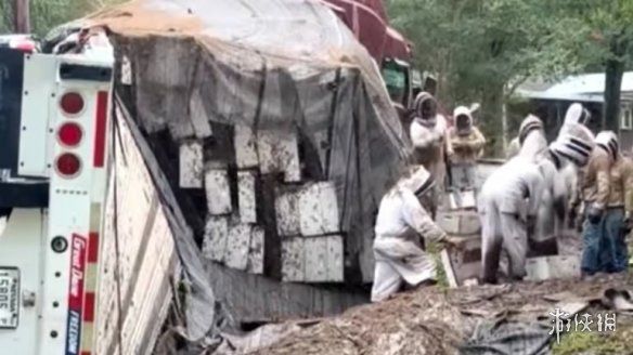 美国得州奥兰治县18轮卡车侧翻致约2400万只蜜蜂逃逸  第2张