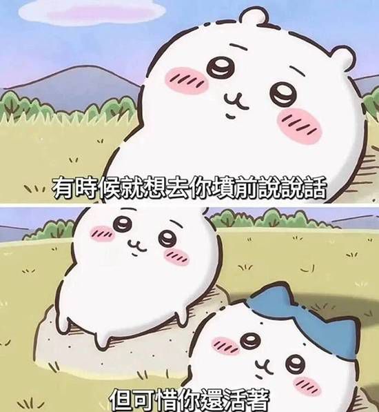用户提交内容为页码序列，新闻正文无法生成  第3张