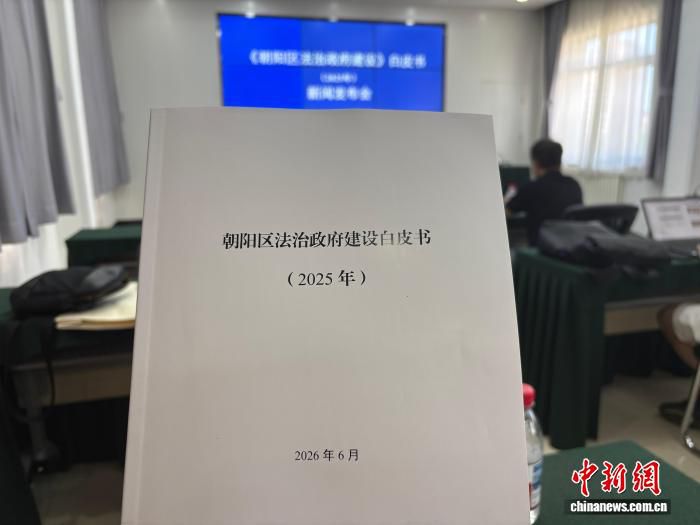 北京市朝阳区部署119项政务场景优化企业服务