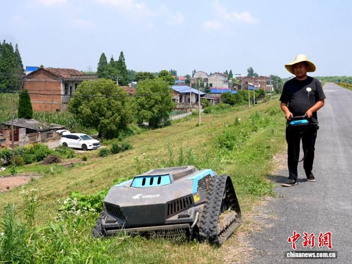 洞庭湖防汛一线引入无人割草机 科技装备破解清障效率难题  第3张