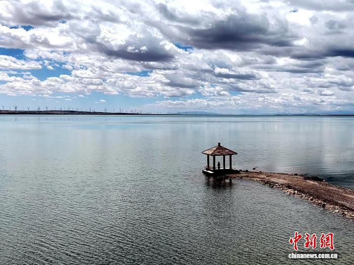 青海德令哈尕海湿地生态修复显示成效 全省湿地面积达712.83万公顷  第2张