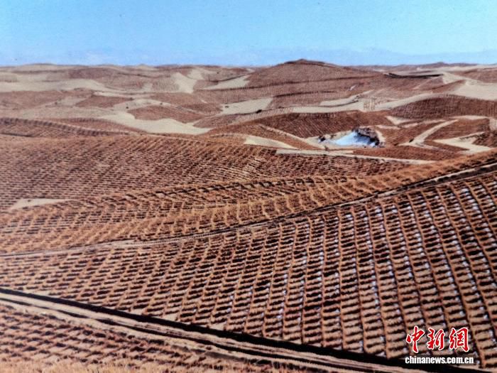 青海省防沙治沙重点区实现“绿进沙退” 生态环境持续改善