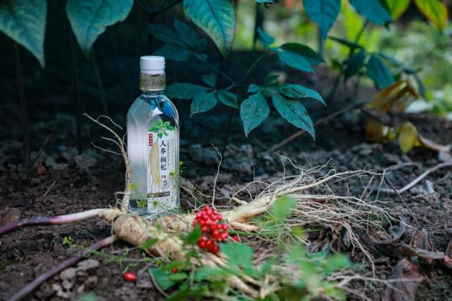 伊利携锁鲜盖技术入局茶饮无糖茶市场五年复合增速超70  第8张