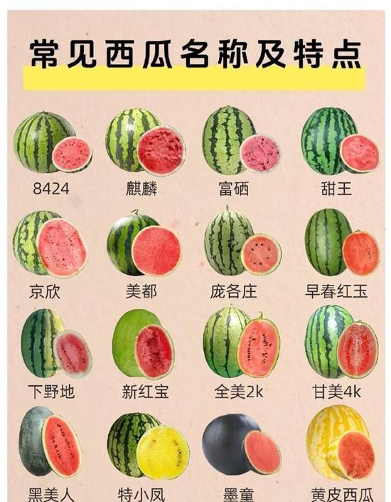 徒手可剥皮西瓜视频走红登热搜  第2张