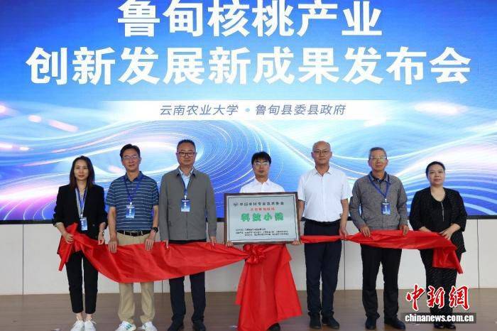 鲁甸发布核桃酱油科技成果 “云南鲁甸核桃科技小院”获授牌  第1张