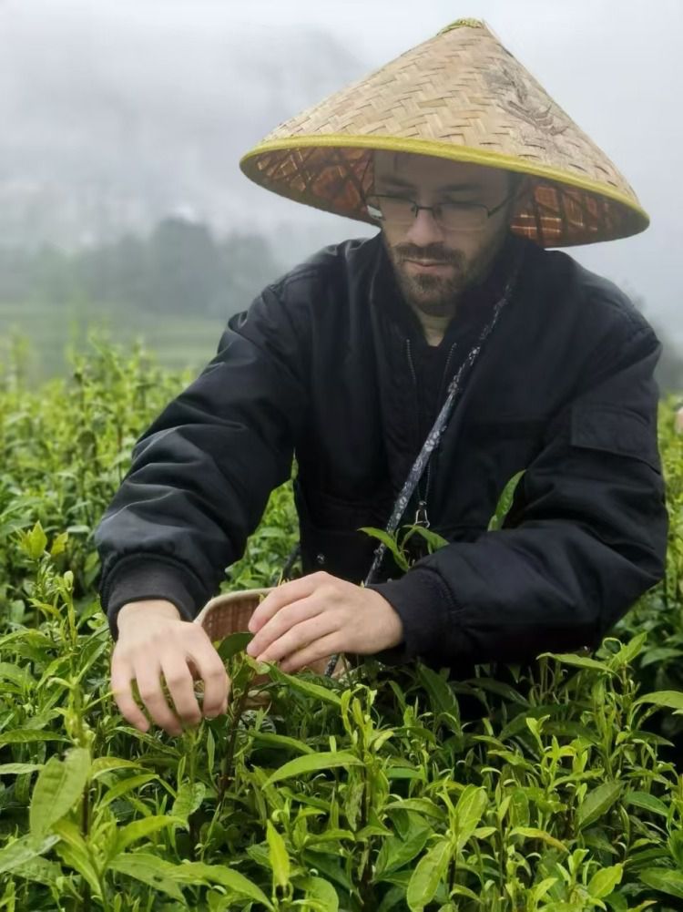外国友人赴华开启寻茶之旅  第2张